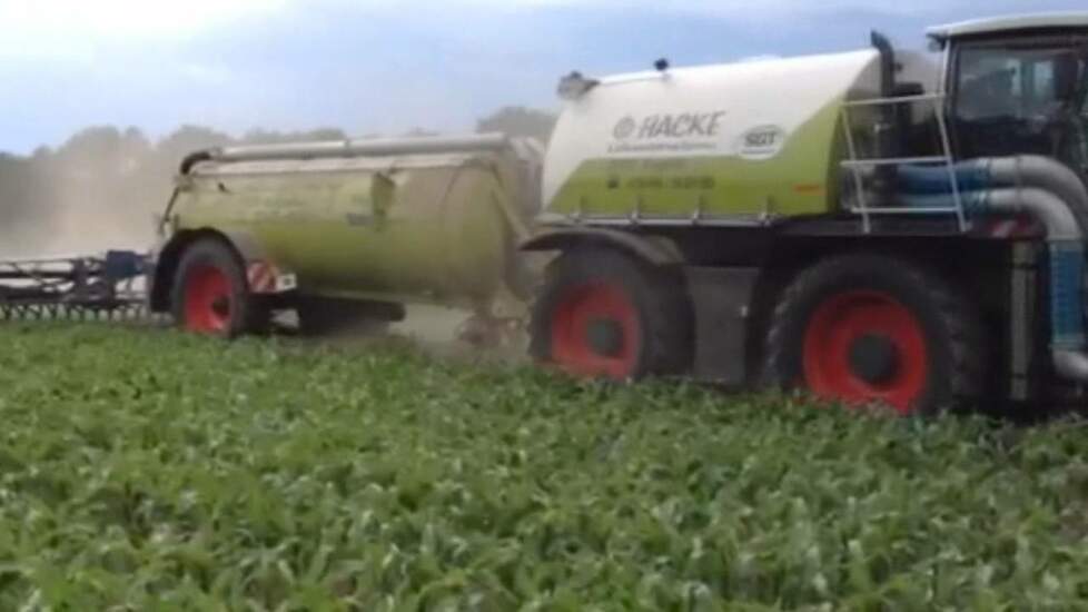 SGT overbemesting in de mais - Trekkerweb.nl