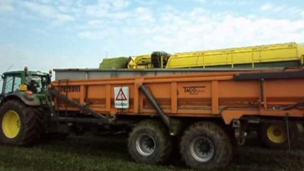 Erwten dorsen 2012 Taco Agro B.V.
