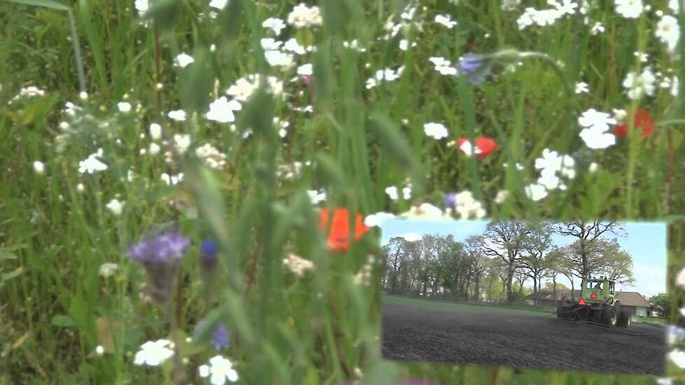 Fab akkeranden bloemrijke akkers - Trekkerweb.nl