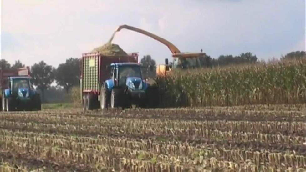 Maisoogst 2011 New Holland 9060 FR Trekkerweb