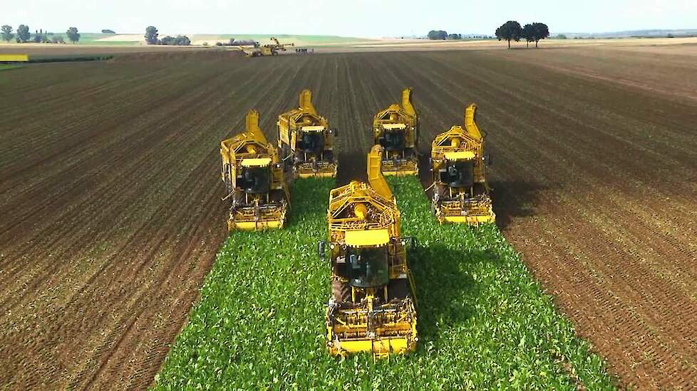 Powerharvesting in Rheinhessen - 5 nagelneue euro-Tiger V8-4 und eine euro-Maus 4 beim Ersteinsatz