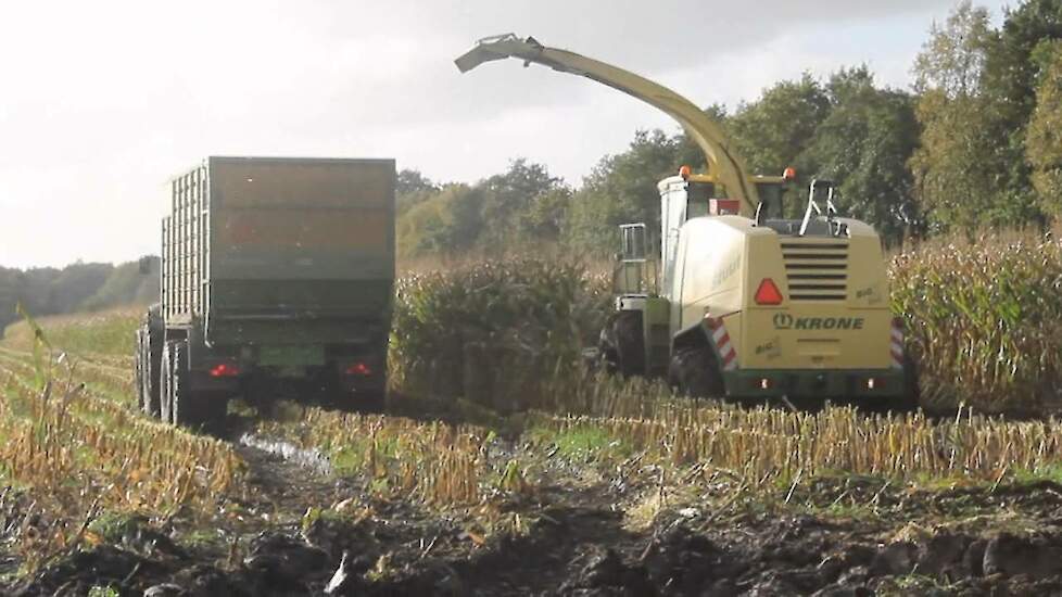 Krone Lucas Stuut in de modder  mais - Trekkerweb.nl