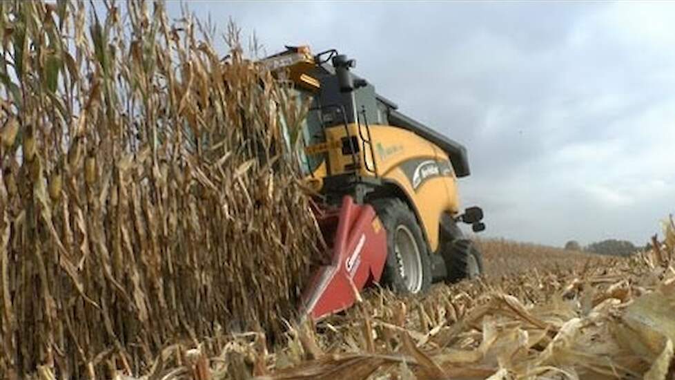 Mais dorsen door LB Van Hal - Mais dreschen - corn threshing - Trekkerweb.nl