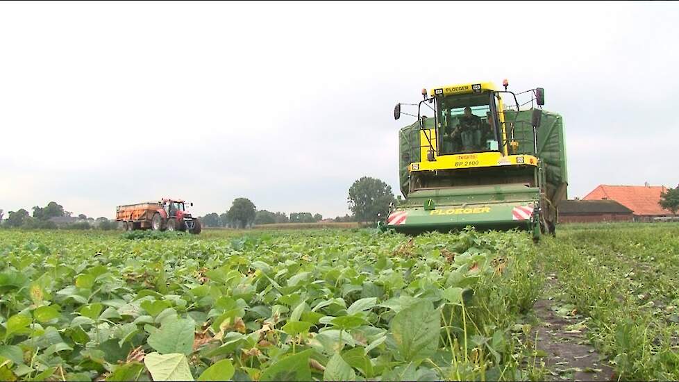 Bonen plukken met Ploeger