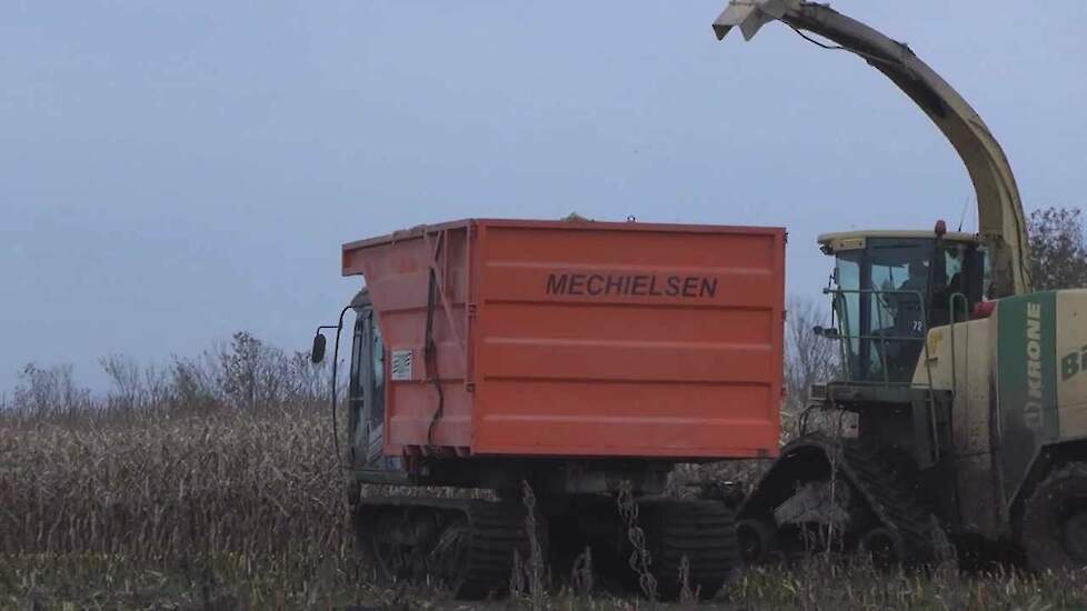 Majssnitning / maize harvest / maisernte 2012 - Krone Big X V12 on tracks and tracked dumpers