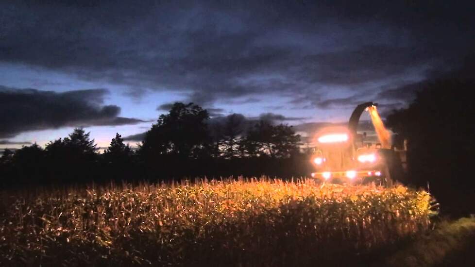 Majssnitning 2012 - Krone Big X V12, Claas Jaguar 890 - Skamstrup Maskinstation