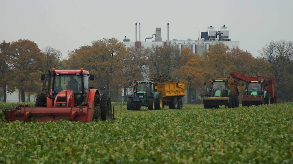 Twee fasen suikerbieten rooien Zetor Deutz Fahr en John Deere - Trekkerweb