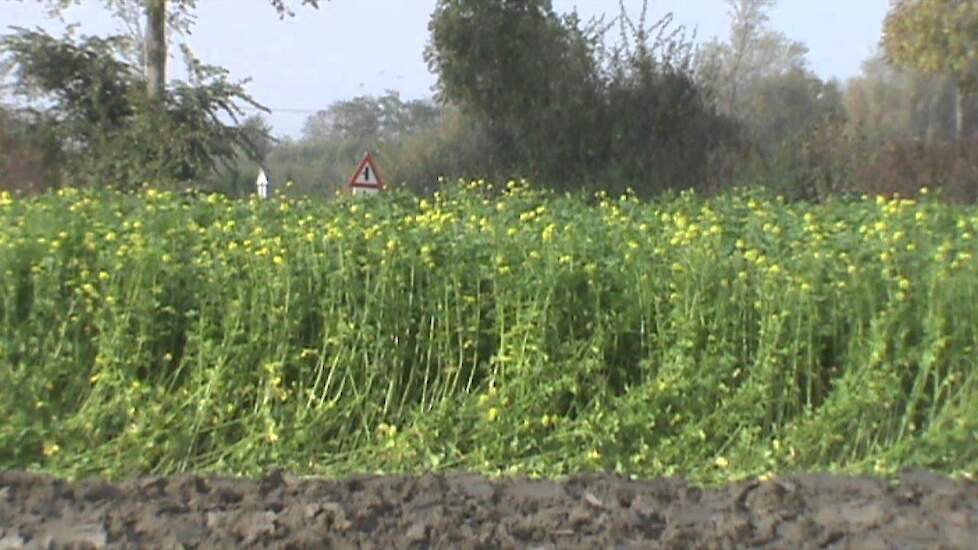 VSS Cappon Ploeg - Trekkerweb.nl