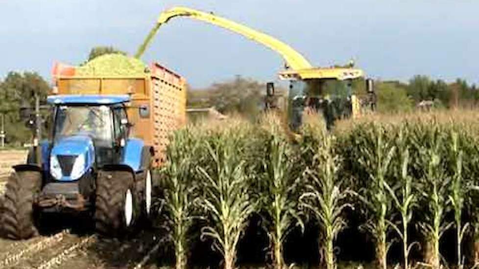 New Holland FR 9060 Trekkerweb.nl