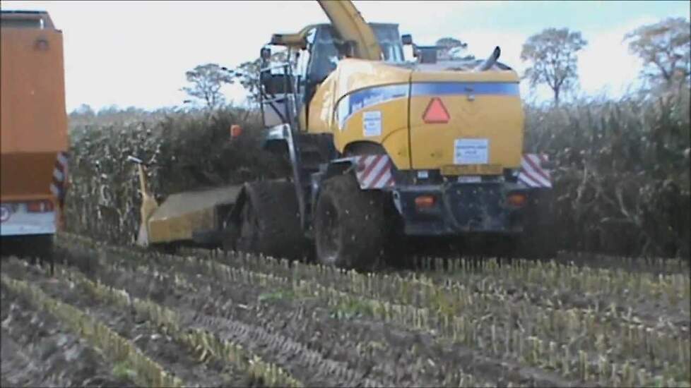New Holland FR9060 op rupsen in zware omstandigheden in Belgie Trekkerweb