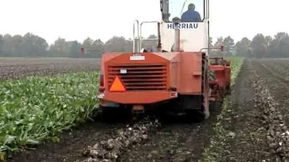 Suikerbietenrooien tweefasen syteem Herriau Fendt Trekkerweb