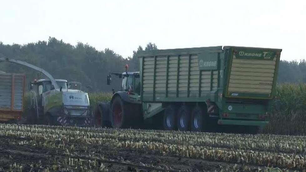 Loonbedrijf van Hal test de nieuwe Krone Silagewagen TX 560 Trekkerweb