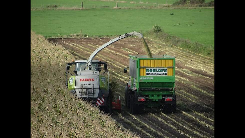 Claas Jaquar 940/maishakselen/harvesting maize/2013/The Netherlands/Roelofs uit Lemelerveld