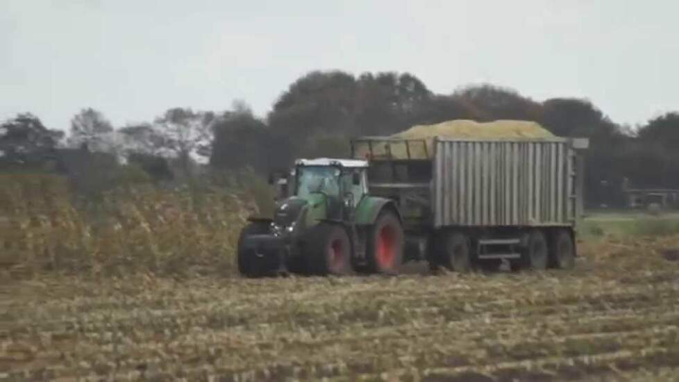 Fendt 828 met Fliegl aanhanger in het maïstransport Trekkerweb