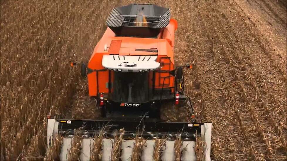 Tribine combine in de korrelmais Trekkerweb