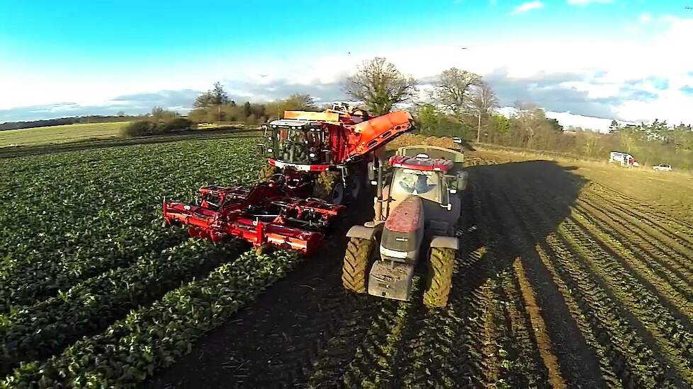 Agrifac 12 row sugar beet harvester HexxTraxx
