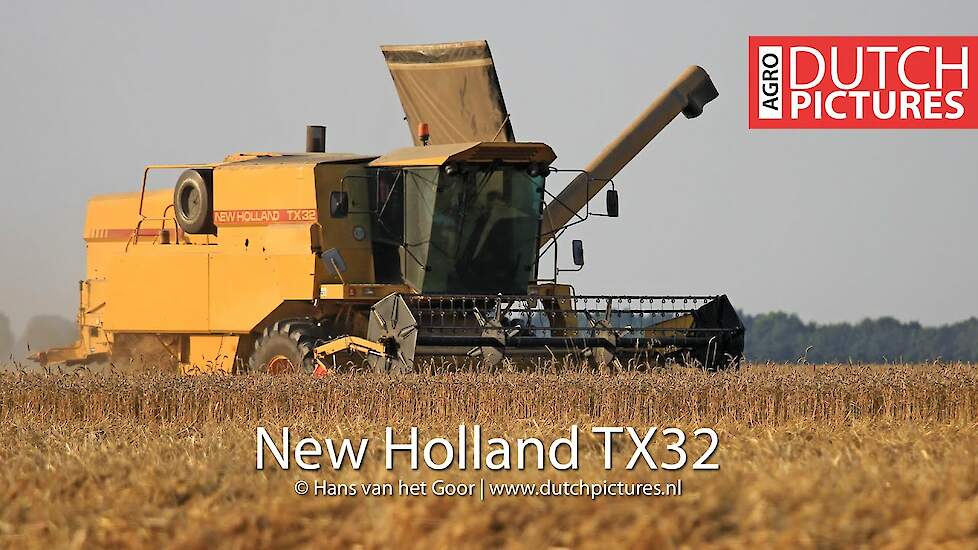 Harvesting wheat with a New Holland TX32 - Tarweoogst - Stegeman, Biddinghuizen