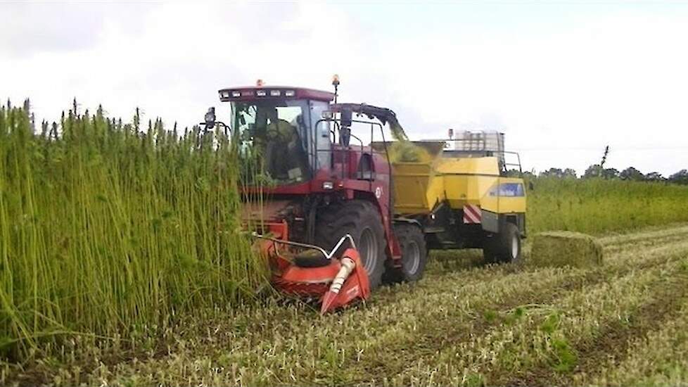 Hennep hakselen Case-IH CHX520 Trekkerweb