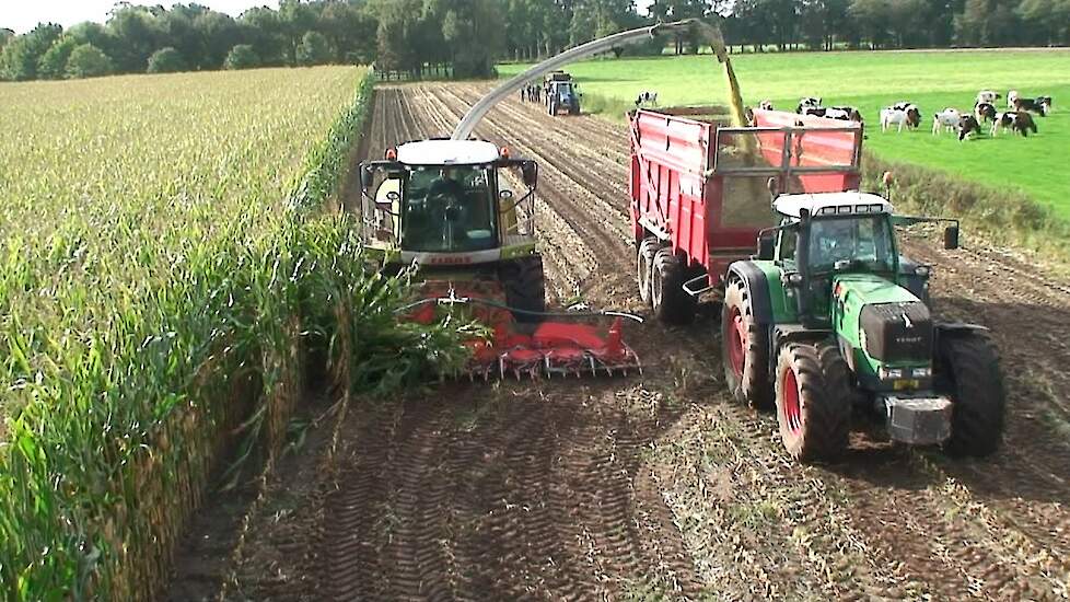 Geurs Hengevelde maishakselen 2014