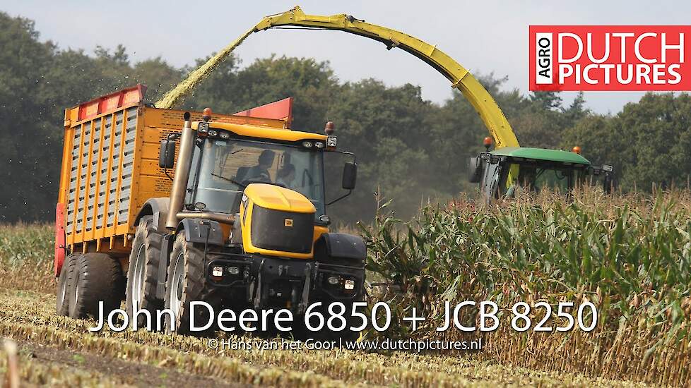 Maize harvest with JCB Fastrac 8250, John Deere 6850 and some Fendt tractors