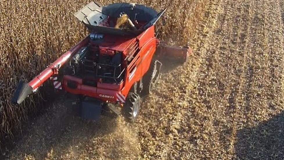 Case-IH AFS Axial Flow 9240 met geveerde rupsen in de maïs -Trekkerweb