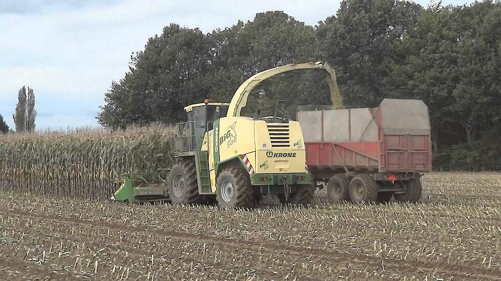 Loonbedrijf Keulers uit Beek (Limburg) in actie met hun KRONE BiG X 500 Trekkerweb