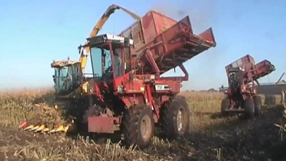Hestton bunkers  in de mais Trekkerweb