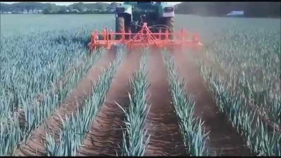 Demo StruikWeedFix, 6x50 cm in de prei Trekkerweb