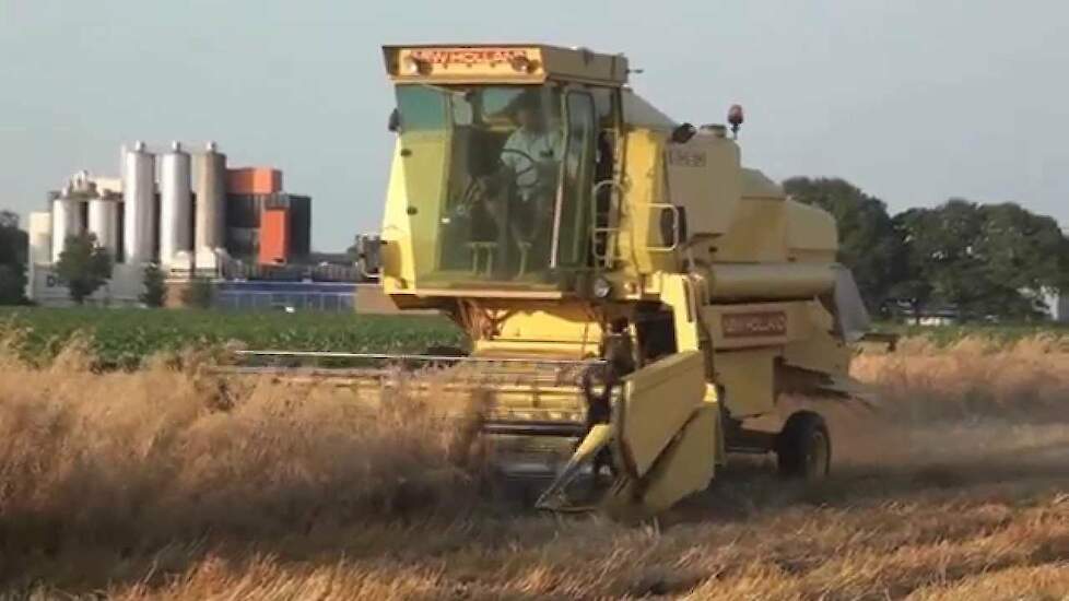 Japanse haver dorsen New Holland Clayson 8050 van Loonbedrijf Harms Erica Trekkerweb