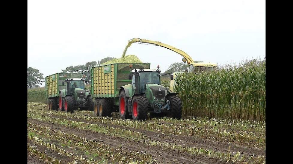 Loonbedrijf Verhoeven met hun nieuwe KRONE BiG X 600 Trekkerweb cornharvest.
