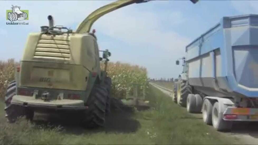 Maïshakselen 2015 Krone Big X 850 in de maïs in Italië Trekkerweb