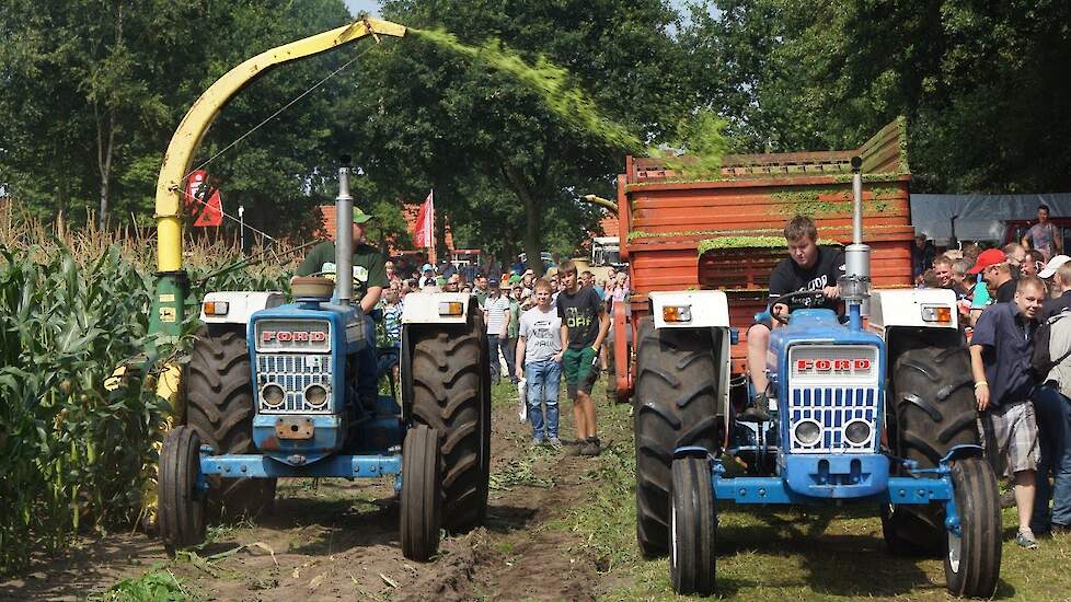 Maïshakselen schudden harken Historischer Feldtag 2015 Treckerclub Nordhorn Duitsland Trekkerweb