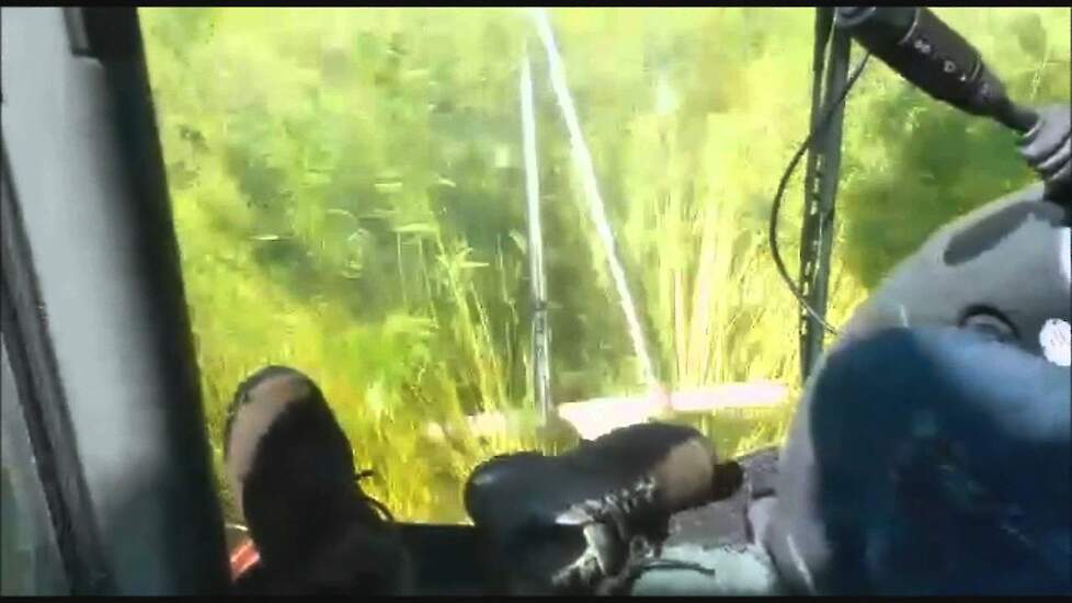 Loonbedrijf Winkelhorst uit Rekken aan het hennep hakselen met Claas 870 Trekkerweb