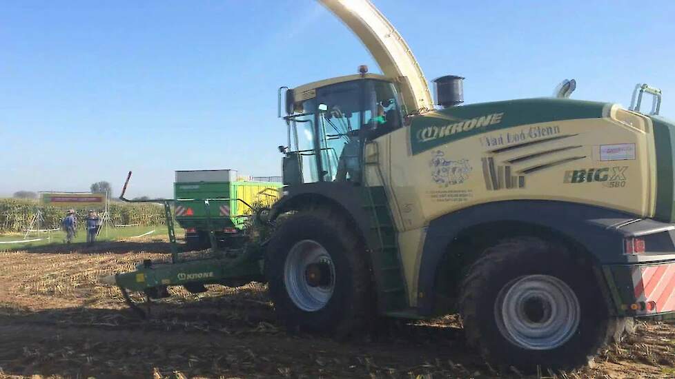 Maïshakselen met Krone BiG X 580 Van Loo Glenn Werktuigdagen Oudenaarde Trekkerweb
