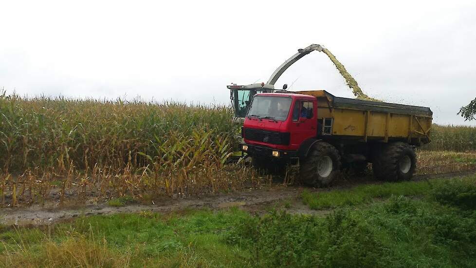 Loon- en grondverzetbedrijf Kastelijn bv met Claas rupshakselaar en truck Trekkerweb