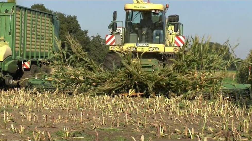 Krone BiG X 700 met 12 rijige Easy Collect van loonbedrijf Huning uit Vreden Trekkerweb