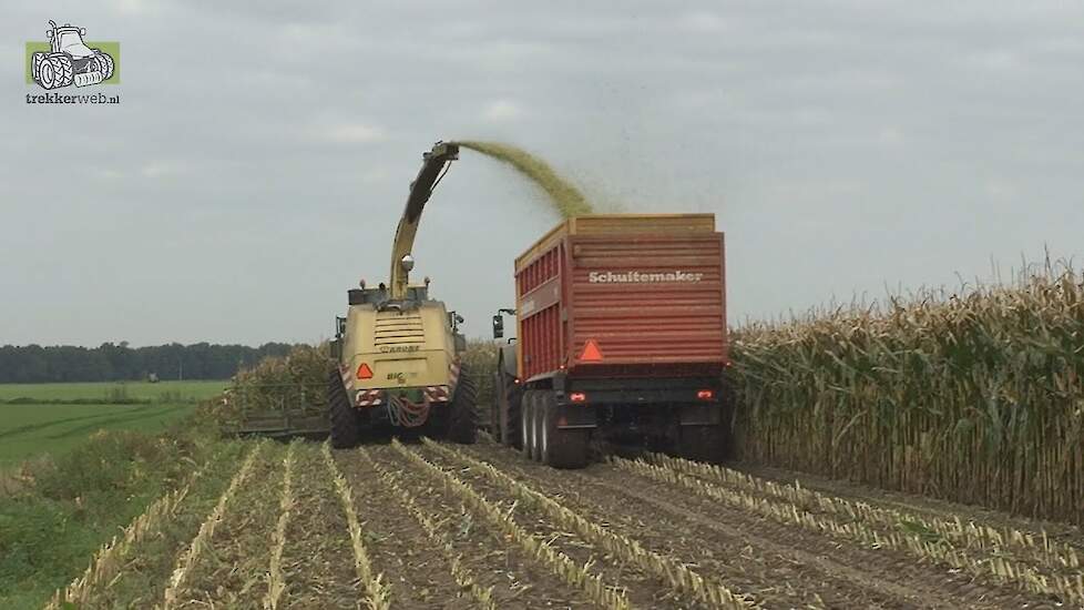 KRONE BiG X 700 met EasyCollect 903  Loonbedrijf Bekkers  Trekkerweb