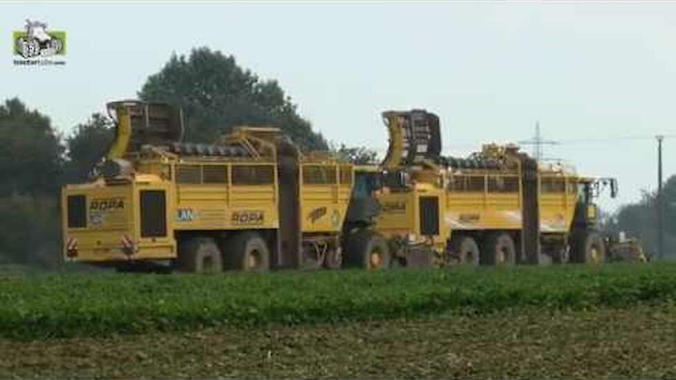 Ropa Euro Tiger V8 en Ropa Euro Tiger V8 - 4A suikerbieten rooien Trekkerweb