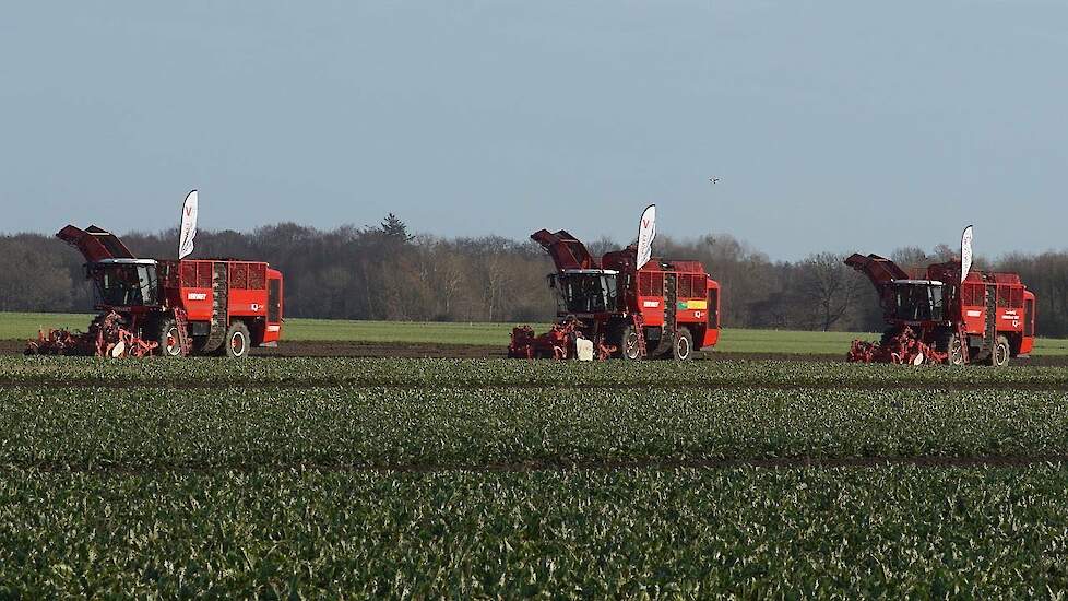 18 row Sugar Beet Harvest with Vervaet Q serie 621 and 616 Trekkerweb