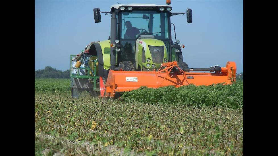 Struik Loofklappers voor de snelle loofdoding Trekkerweb