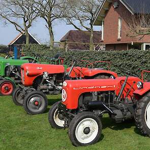 De vier Lindners op een rijtje van klein naar iets minder klein.