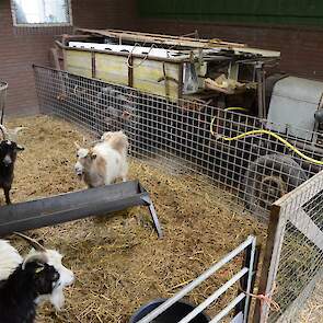Deze Mebo met mestverspreider was de eerste die Schoorl kocht. Hij moet nog gerestaureerd worden