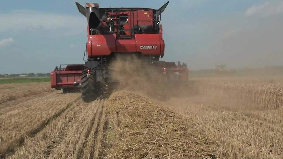 Stro uit de Case-IH Axial Flow Trekkerweb