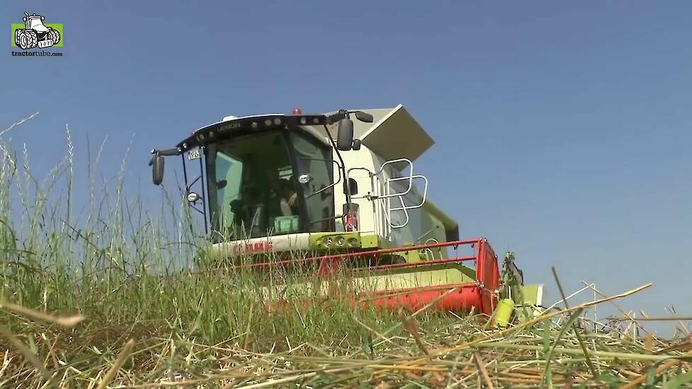 Graszaad van stam dorsen met Claas Lexion 670 TT Terra Tracks Trekkerweb