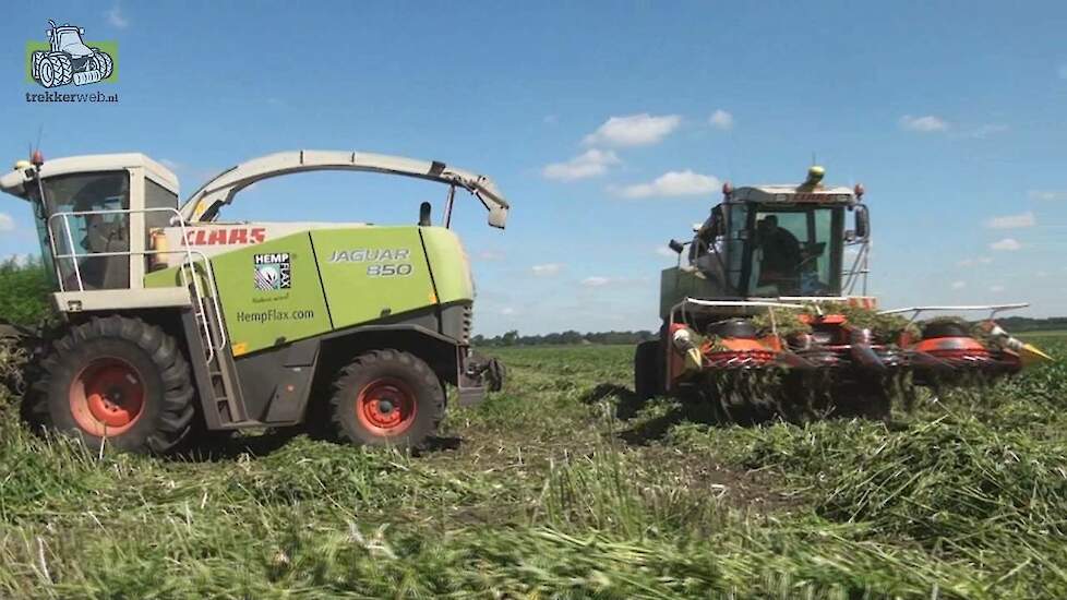 Claas Jaguar 870 850 Loonbedrijf Stevens Wildervank en Hemp flax Hennep maaien Trekkerweb