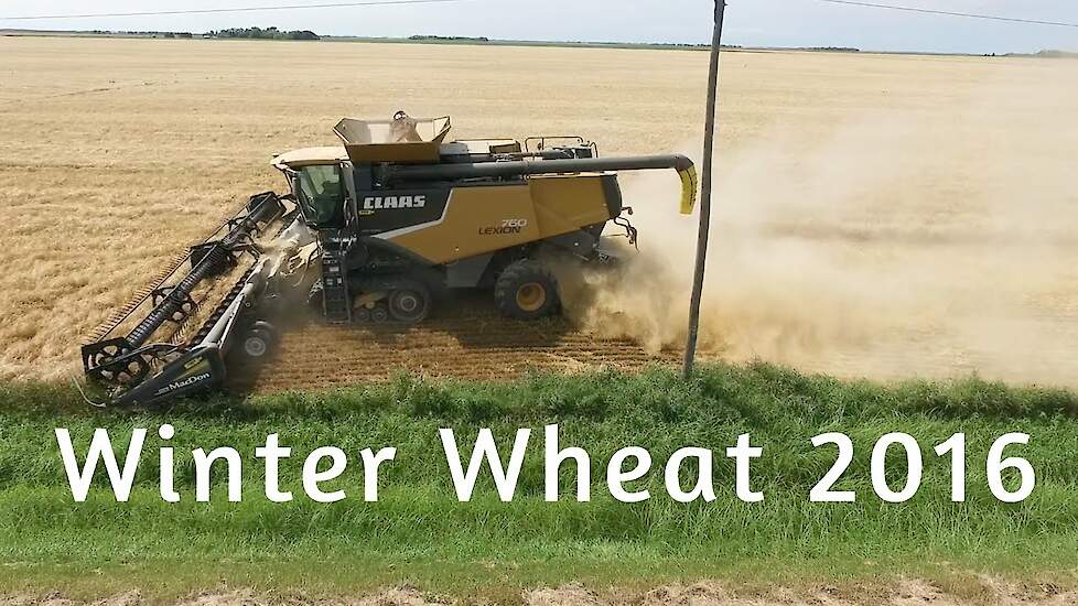 Winter Wheat 2016 canada