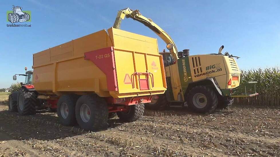 Structuurmais demo in Zeeland door KRONE / Agrifirm / ABEMEC / Wisse Trekkerweb
