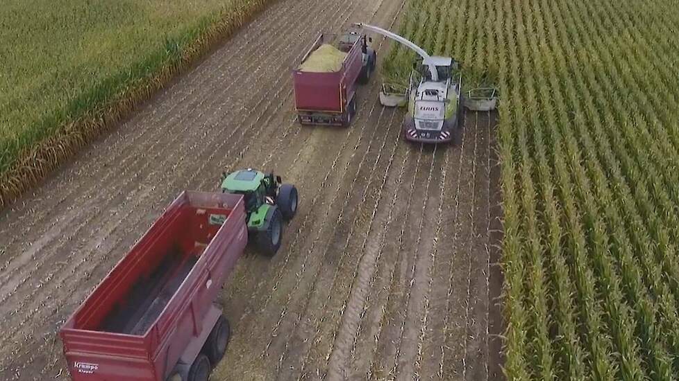 Claas Jaguar 970 en Deutz -Fahr Krampe snijmaïs Trekkerweb Terhuf cornharvest