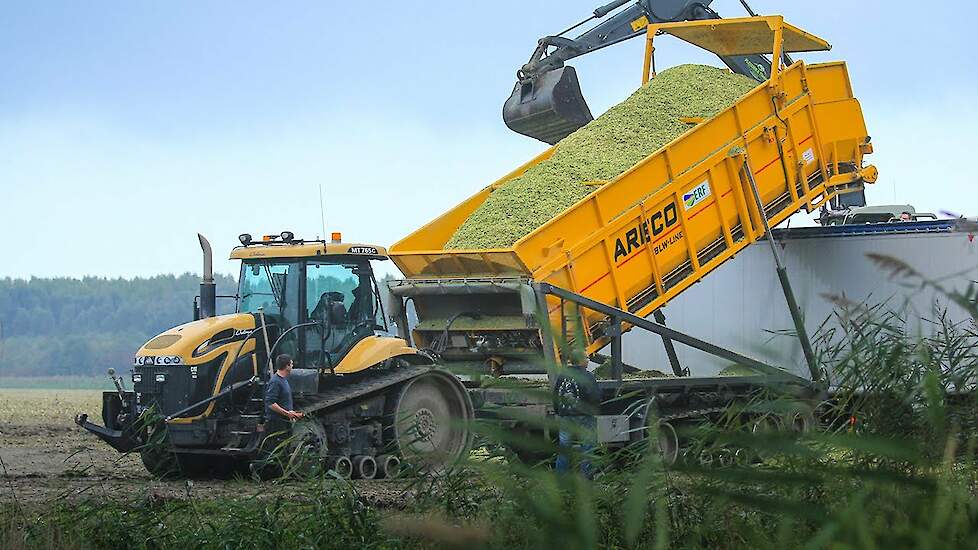 Mais hakselen en overladen | Challenger MT765C | Pleizier & Timmer | ERF | Agriculture in Holland