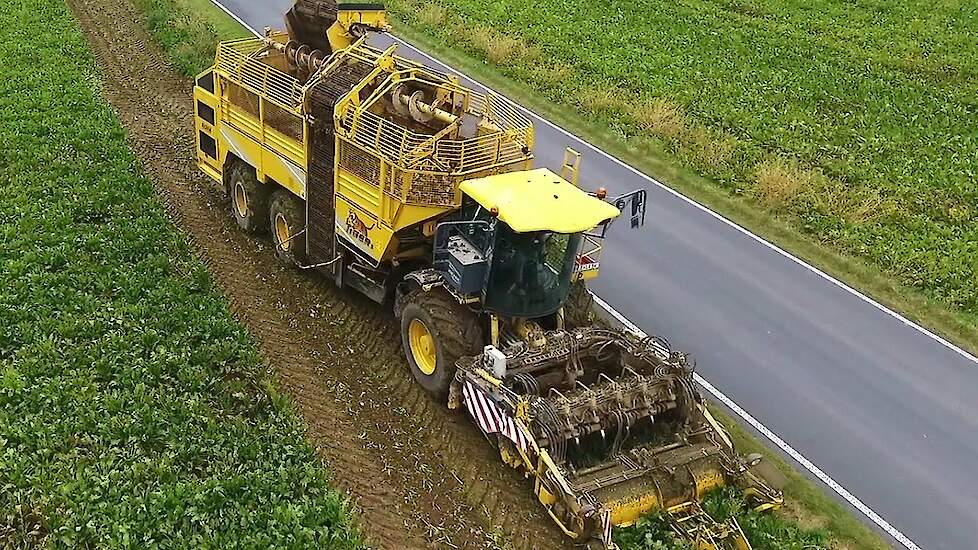 Suikerbietenrooien met Ropa Tiger 5 door loonbedrijf Strauch-Janße Trekkerweb